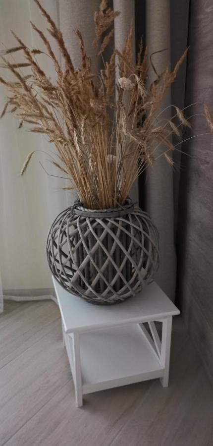 Milda Apartment Juodkrante Ngoại thất bức ảnh